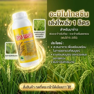 ฮอร์โมนนาข้าวลมเบ่ง เล่งโพล่ง บรรจุ1 ลิตร พ่นข้าวระยะรับท้อง-กลัดหางปลาทู ออกรวงเสมอ ข้าวไม่หักล้มง่าย เมล็ดเต่งเมล็ดใส