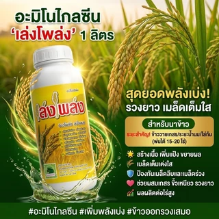 ฮอร์โมนนาข้าวลมเบ่ง เล่งโพล่ง บรรจุ1 ลิตร พ่นข้าวระยะรับท้อง-กลัดหางปลาทู ออกรวงเสมอ ข้าวไม่หักล้มง่าย เมล็ดเต่งเมล็ดใส