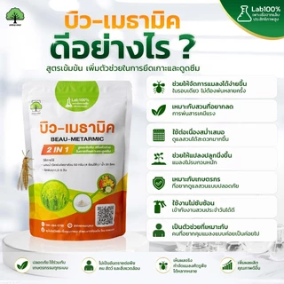 บิว-เมธามิค ตราเทพมงคล 2 ซอง กำจัดแมลงศัตรูพืช ด้วง เพลี้ย ไรแดง แมลงหวี่ขาว ขนาด 500 กรัม ชนิดผง
