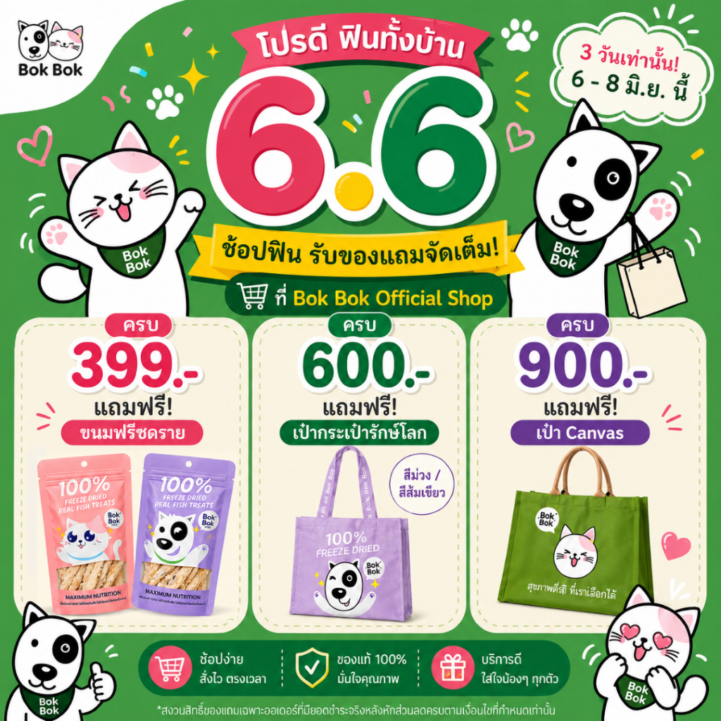 6.6 ซื้อครบ 399/600/900 ฟรี! ขนมฟรีซดราย/กระเป๋า limited สุดคิ้วท์