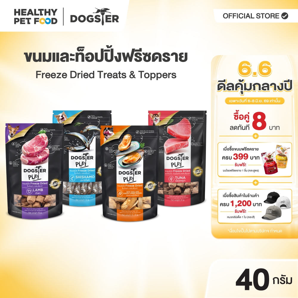 [แบรนด์ขายดีอันดับ1] ขนมฟรีซดราย DOGSTER PLAY Freeze Dried ซองสีดำ วัตถุดิบ Super Premium ชั้นเลิศนำเข้า/ขนมหมา/ท็อปปิ้ง