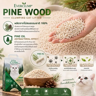 (เจ้าแรกในไทยเม็ดทรายเหมือนเต้าหู้)Pine oil wood ทรายไม้สนสูตรลดการสะสมของเชื้อโรค