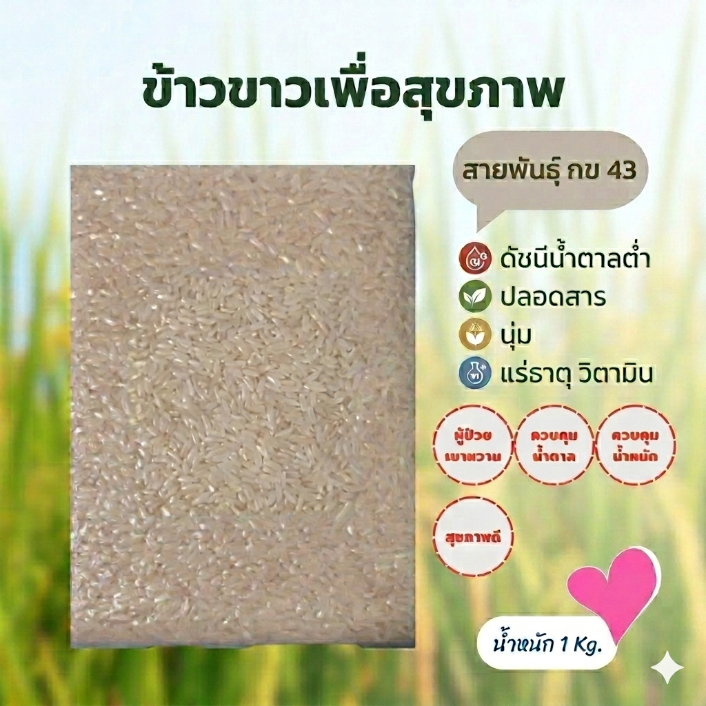 [ข้าวเพื่อสุขภาพ]ข้าวขาว กข43 ออร์แกนิก ข้าวสายพันธุ์น้ำตาลต่ำ ปลอดสาร หุงแล้วนุ่ม ผลิตใหม่อยู่เสมอ