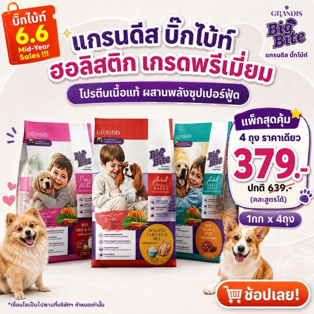 [สุดคุ้มซื้อ 4ถุง ราคาเดียว] อาหารสุนัข แกรนดีสบิ๊กไบ้ท์ 1kg ฮอลิสติก เกรดพรีเมี่ยม GRANDIS BIGBITE