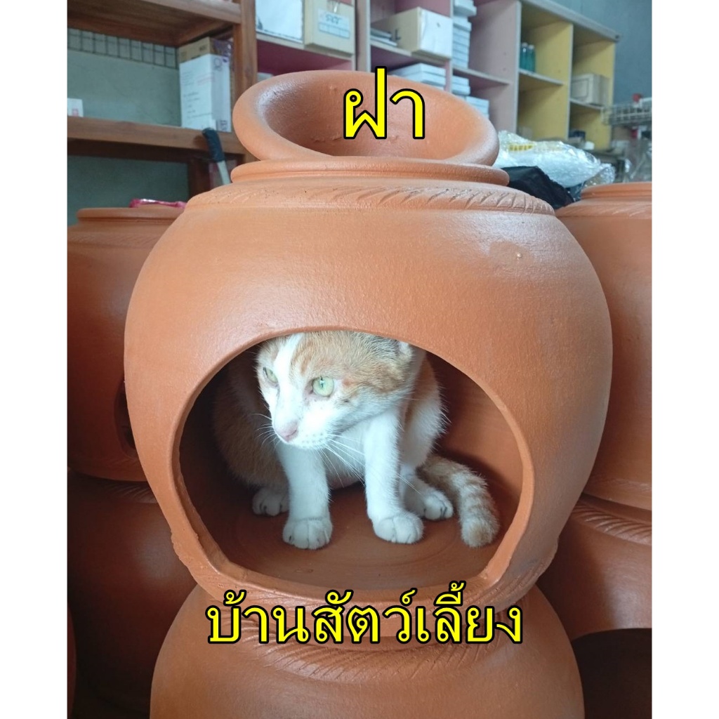 โอ่งดินเย็น 8-15นิ้ว กระรอก กระแต เม่น หนู ชูก้า แพรี่ดอค แฮม มีฝาปิดด้านบน+เทินน้ำแข็ง เสียหายเคลมให้ใหม่ฟรี