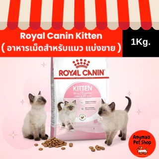 ( แบ่งขาย 1Kg. ) อาหารเม็ดแมว Royal Canin Kitten