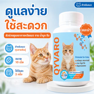 สร้างภูมิคุ้มกัน Qyvaro ดูแลระบบหายใจ แมวหวัด ไอ จาม น้ำมูกไหล เจ็บคอ ตาเจ็บ ซึม แมวแข็งแรง