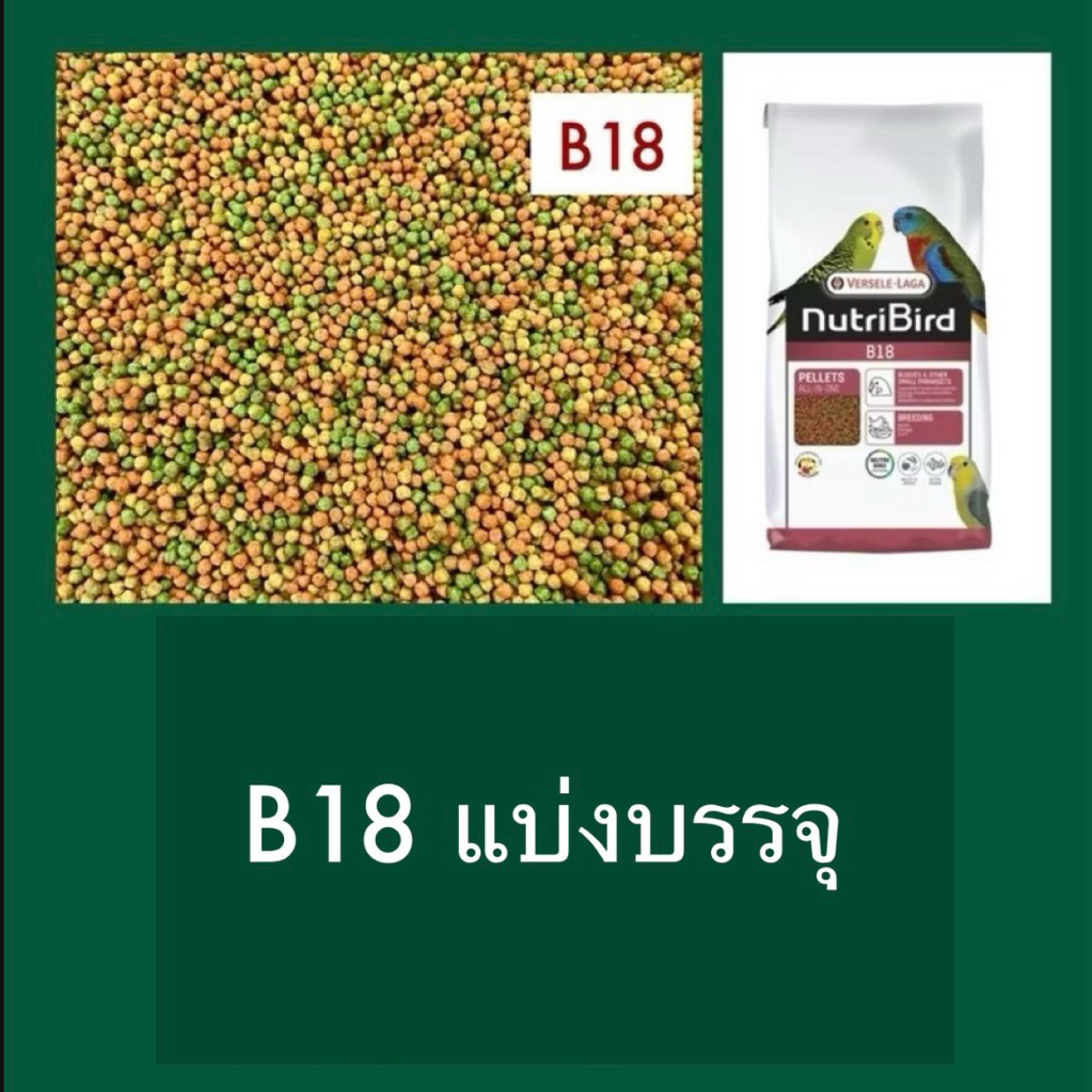 🅺🅺🅵 (ตักแบ่งขาย) Nutribird B18 อาหารนก นูทรีเบิร์ดบี18