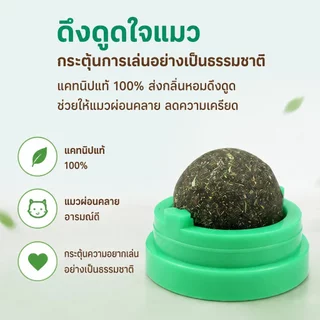 ของเล่นแมว catnip ball แคทนิปบอล กัญชาแมว แคทนิปแมว หญ้าแมว ติดกำแพง ไม่กลิ้งหาย ลดคราบหินปูน สําหรับสัตว์เลี้ยง