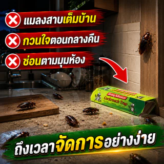 ที่ดักแมลงสาบ กาวดักแมลงสาบ 10 ชิ้น กับดักแมลงสาบ แผ่นดักแมลงสาบ ปลอดสารเคมี ไร้กลิ่น ใช้งานง่าย ดักได้จริง