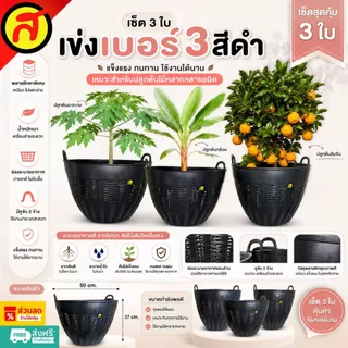 เซ็ต 3 ใบ เข่งพลาสติกเบอร์ 3 สีดำ เข่งปลูกต้นไม้ เข่งใส่ผลไม้ เข่งพลาสติก พร้อมส่ง เข่ง