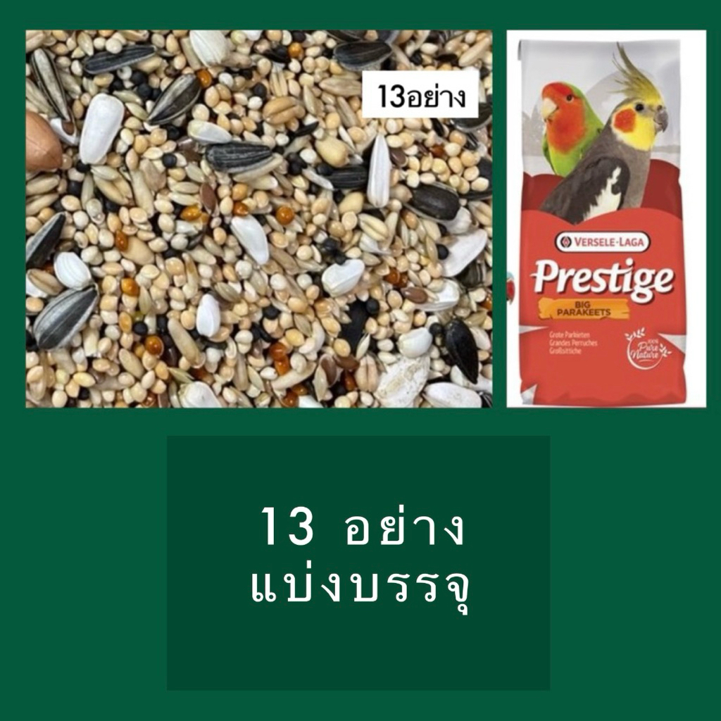 ⓅⓀⒻ (แบ่งบรรจุ) ธัญพืช13ชนิด อาหารนก Prestige สำหรับ เลิฟเบิร์ด ฟอพัส ค๊อกคาเทล กรีนชีค และนกขนาดกลางอื่นๆ