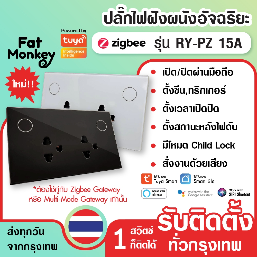 Tuya Zigbee Double Socket plug ปลั๊กไฟฝังผนัง อัจฉริยะแบบ 2 เต้าเสียบ 15A 220V รุ่น RY-PZ