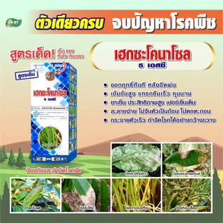 เฮกซะโคนาโซล ยาขัดผิว สูตรเย็น ผ่าดอกได้ สารป้องกันกำจัดโรคพืช กำจัดราดำ ราแป้ง ราใบจุด แอนแทรคโนส ใบไหม้ 1 ลิตร