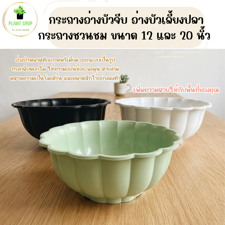 อ่างบัวจีบ อ่างบัวเลี้ยงปลา กระถางชวนชม พลาสติกอย่างดี ขนาด 12 และ 20 นิ้ว