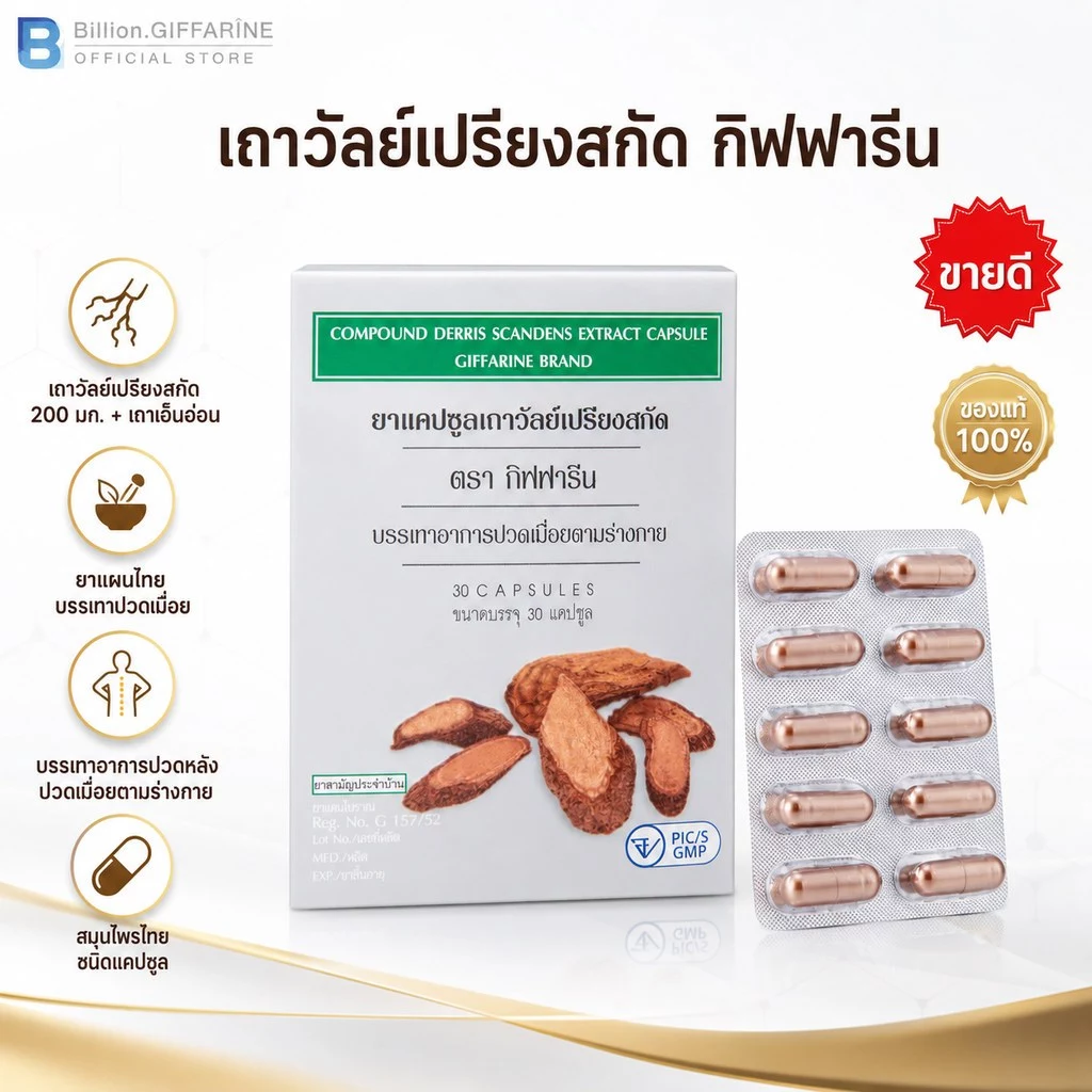 เถาวัลย์เปรียงสกัด ตรา กิฟฟารีน ยาแผนโบราณ ยาสามัญประจำบ้าน บรรเทาอาการปวดเมื่อย ปวดหลัง