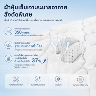 【รับประกัน 10 ปี】GreaME 8 นิ้ว ที่นอนสปริงไฮบริด เป็นมิตรกับผิว ระบายอากาศได้ดี มีความยืดหยุ่นสูง หมอนฟรี
