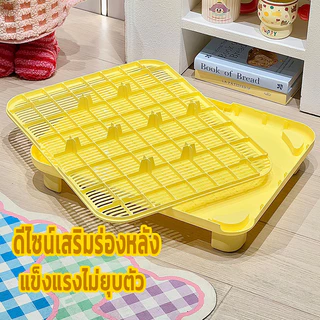 แผ่นดักทรายแมว 2IN1 ถาดรองฉี่สุนัข พรมดักทรายแมว พรม 2 ชั้น PP ช่วยดัก ทรายแมว ที่ติดตามเท้า แผ่น รอง ทรายแมว ขนาด ใหญ่