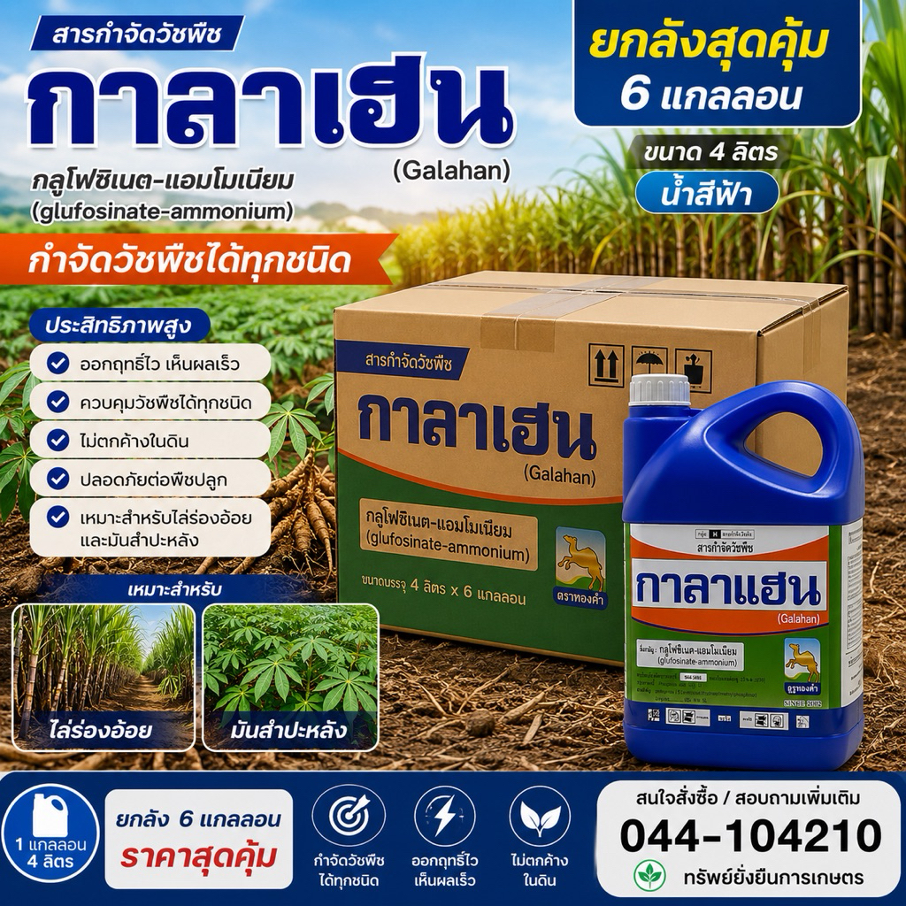 กาลาเเฮน กลูโฟซิเนต - แอมโมเนียม “ยกลัง 6แกลลอน ” 4ลิตร/แกลลอน  ดูดซึมทางใบ ตายถึงราก