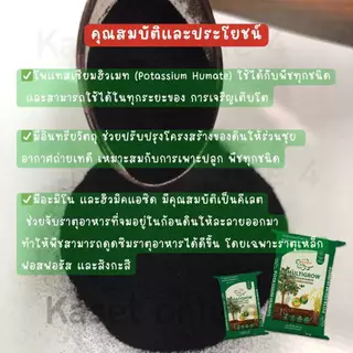 YVP แบ่ง1กก. Black Earth โพแทสเซียมฮิวเมท ผงฮิวมิกเข้มข้นละลายน้ำ ฉีดพ่นทางใบ ฟื้นฟูดิน บำรุงดิน บำรุงราก ปลอดสารเคมีธรร