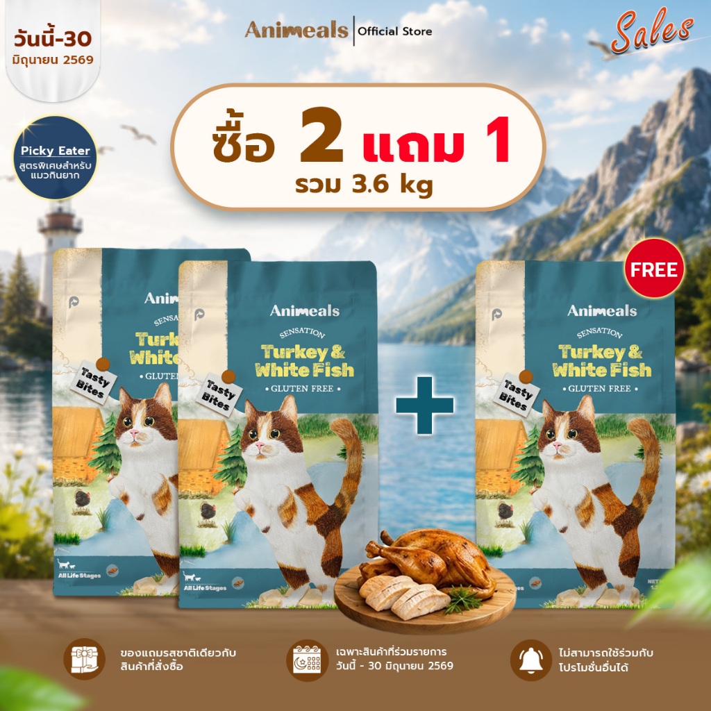 Animeals Sensation อาหารแมว 2.4kg สูตรกินง่าย หอมอร่อย สำหรับแมวเลือกกิน เบื่ออาหาร ไก่งวงและปลาเนื้อขาว กลูเตนฟรี