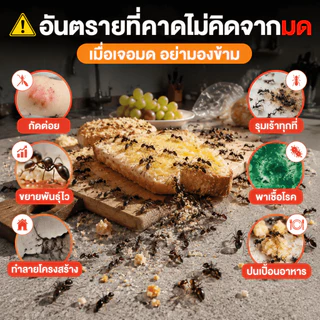 🔥ยาฆ่ามด เหยื่อมด 5g*50/20/10ถุง ฆ่าตายยกลัง เหยื่อกำจัดมด ไล่มด ฆ่ามด กำจัดแมลง กำจัดได้สิ้นซากตายยกรัง