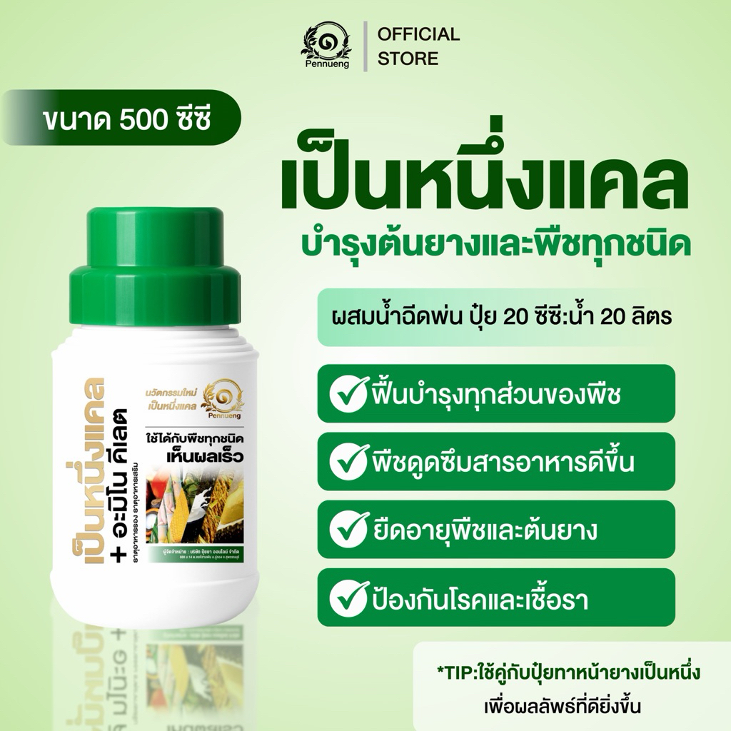 เป็นหนึ่งแคล สูตรฟื้นบำรุงต้นยางโดยเฉพาะ ปริมาณ 500 ml. ช่วยการสร้างใบเขียว ส่วนผสมแคลเซียม โบรอน และอะมิโน