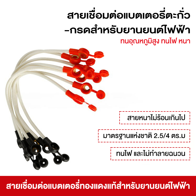 CHILWEE/TIANNENG/FUCHAO/TAIVANI สายเคเบิลแบตเตอรี่สำหรับแบตเตอรี่ 6-DZF-12/6-DZF-20 20 ซม. แข็งแรงทน