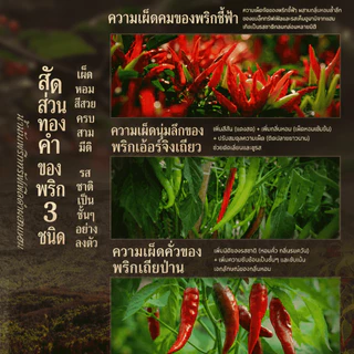 🌶️ น้ำมันพริกทรัฟเฟิลดำผสมแฮม (Black Truffle Chili Oil with Ham)
