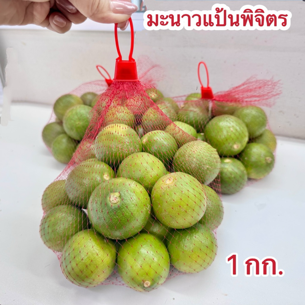 กิ่งตอนมะนาวแป้นพิจิตร 1 กิ่ง