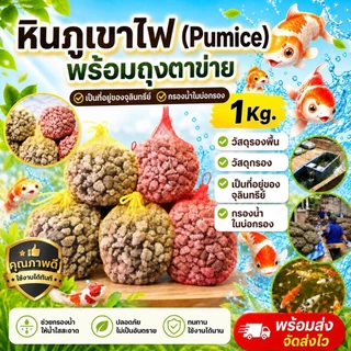 หินภูเขาไฟ 1 kg. หินกรองน้ำ พร้อมถุงตาข่าย เกรดA ฝุ่นน้อย วัสดุกรองตู้ปลา หรือใช้รองพื้นกระถางต้นไม้ ขนาดเม็ด 2-4cm.