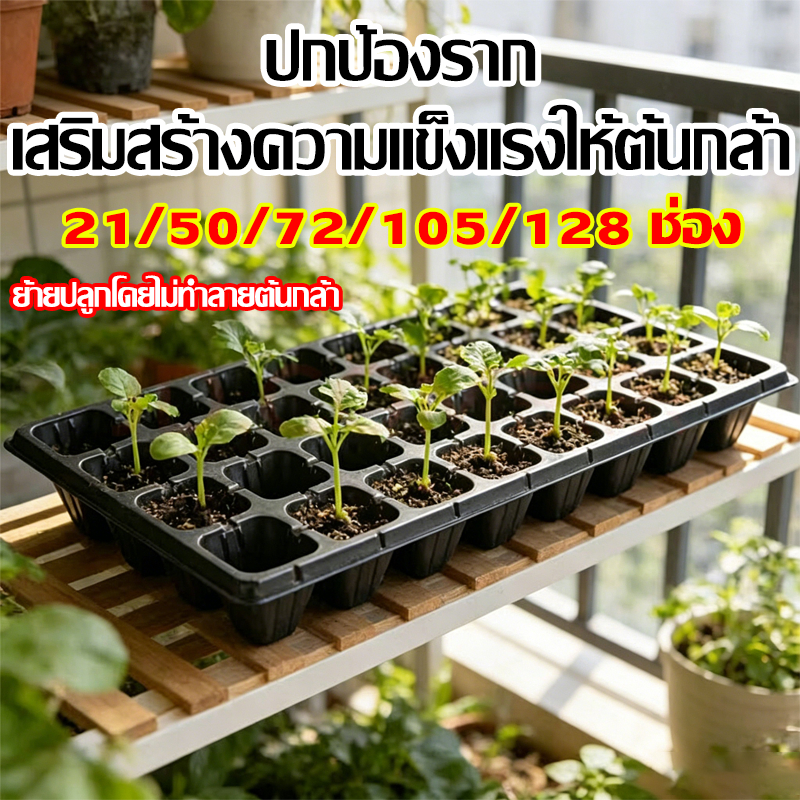 （5pcs）ถาดปลูกต้นไม้สำหรับเรือนเพาะชำ ตั้งแต่ 21 ถึง 128 หลุม-มีหลายขนาดให้เลือก ถาดปลูกต้นไม้สำหรับเรือนเพาะชำ