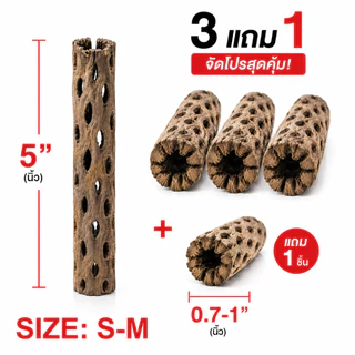 Cholla Wood 5inch ซื้อ 3 ชิ้น แถม 1 ชิ้น คัดพิเศษ ขอนไม้บ้านกุ้ง บ้านกุ้งแคระ กุ้งเรดบี