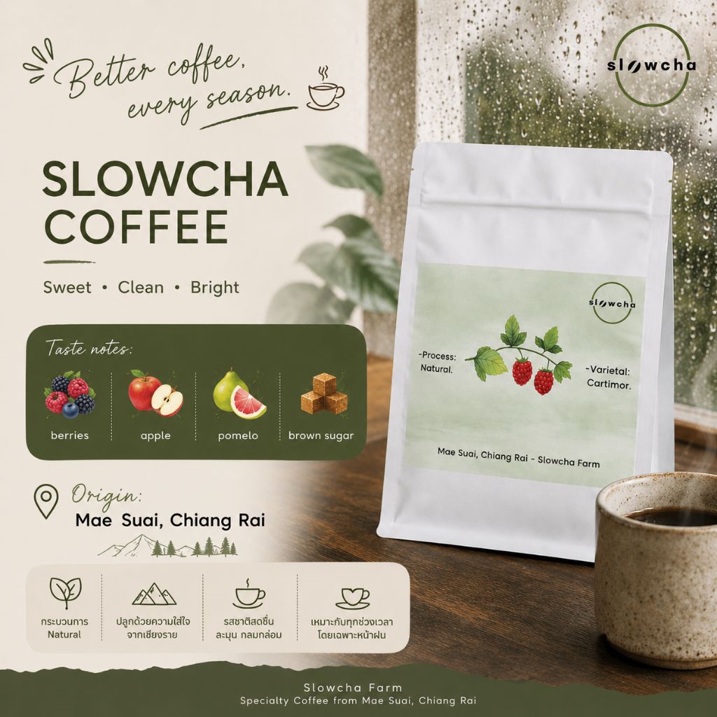 Natural slow dry เมล็ดกาแฟคั่ว โทนผลไม้เบอรีส์รวม (specialty coffee)