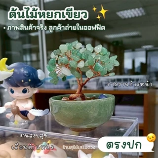 ต้นไม้ หยกแท้ ต้นไม้มงคล (ส่งด่วน มีกล่อง) Office สายมู 🌷💯ตั้งโต๊ะ เสริมการงาน ไผ่กวนอิม ตั้งโต๊ะทำงาน Luxuary แต่งบ้าน