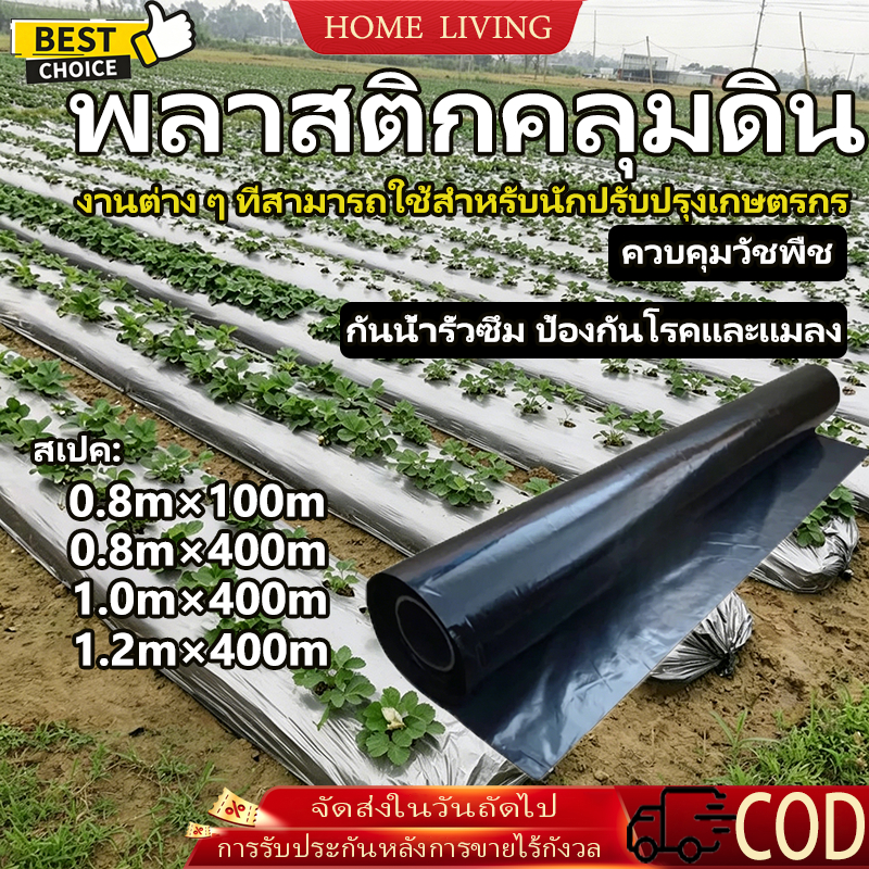 COD พลาสติกคลุมดิน คลุมแปลง ผ้ายางคลุมวัชพืช กันวัชพืช ปลูกผัก แบบหนาพิเศษ ทนแดด 0.8ม.1.0ม.1.2ม.x400หลา(360ม)