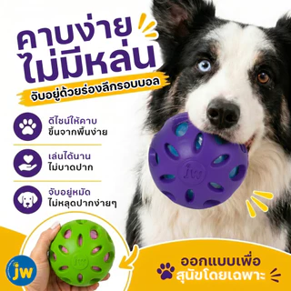 JW Crackle Heads Crackle Ball Dog Toy บอลยางทนทาน กลิ่นวานิลา สอดไส้วัสดุขวดน้ำ กัดแล้วเสียงดังสะใจ