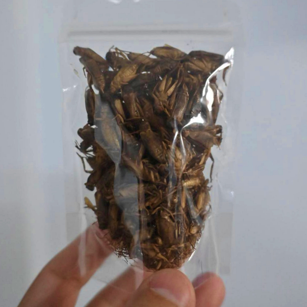 สะดิ้งอบแห้ง อบแห้ง อาหารเสริมโปรตีนสัตว์เลี้ยง 20 กรัม (ทดลอง)