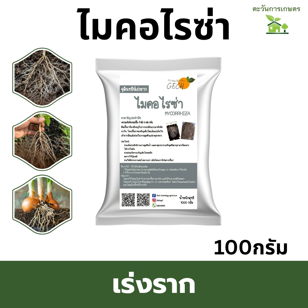 ไมคอไรซ่า​ เร่งราก​ ขนาด​ 100​กรัม