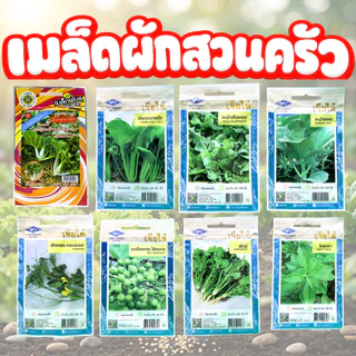 เมล็ดพันธุ์ผักสวนครัว (มากกว่า 100 ชนิด) | เมล็ดผักชี ผักบุ้ง กะเพรา โหระพา ผักสวนครัวปลูกง่าย โตไว