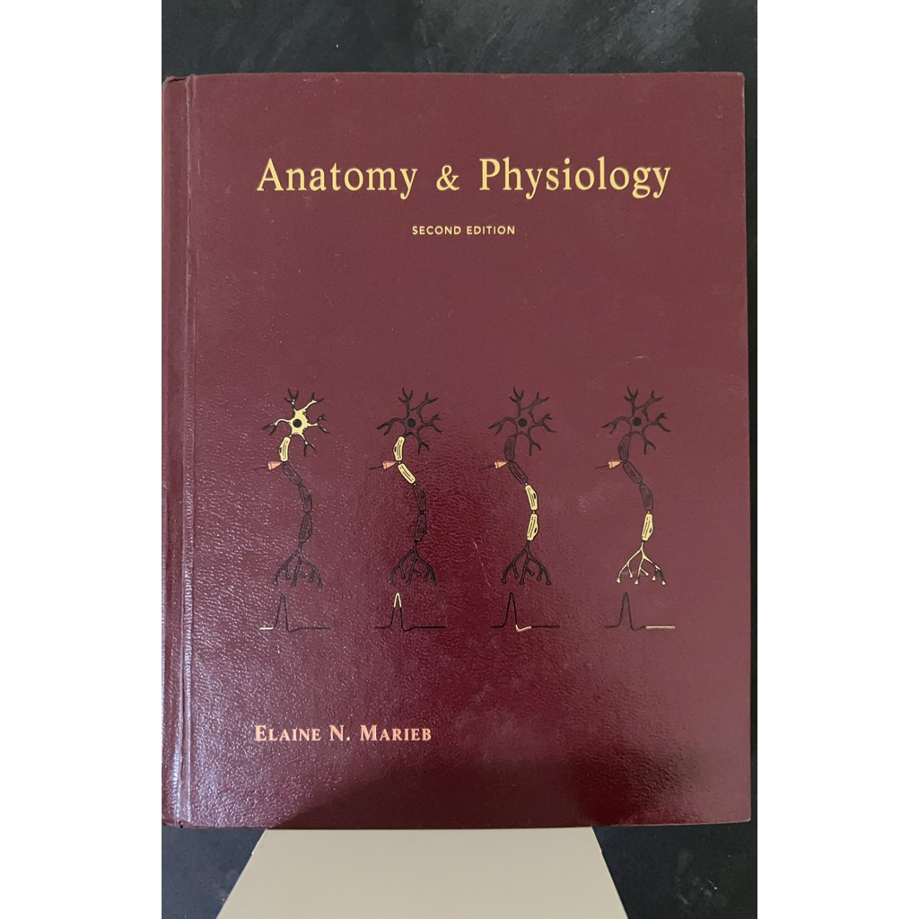 Anatomy & Physiology มือสอง