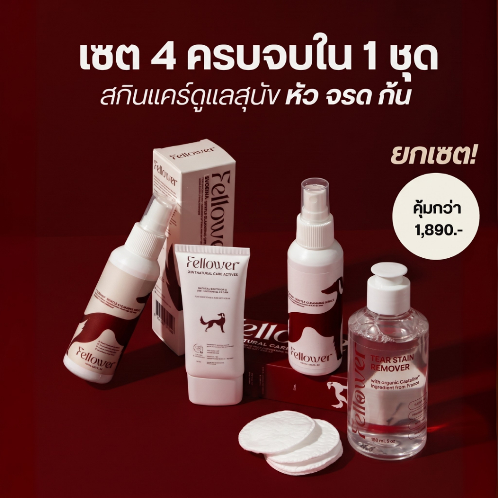 Fellower Giant Set ชุดดูแลสุนัข 4 ชิ้น ครีมอุ้งเท้า + สเปรย์อุ้งเท้า + สเปรย์เช็ดก้น + น้ำยาเช็ดคราบน้ำตา