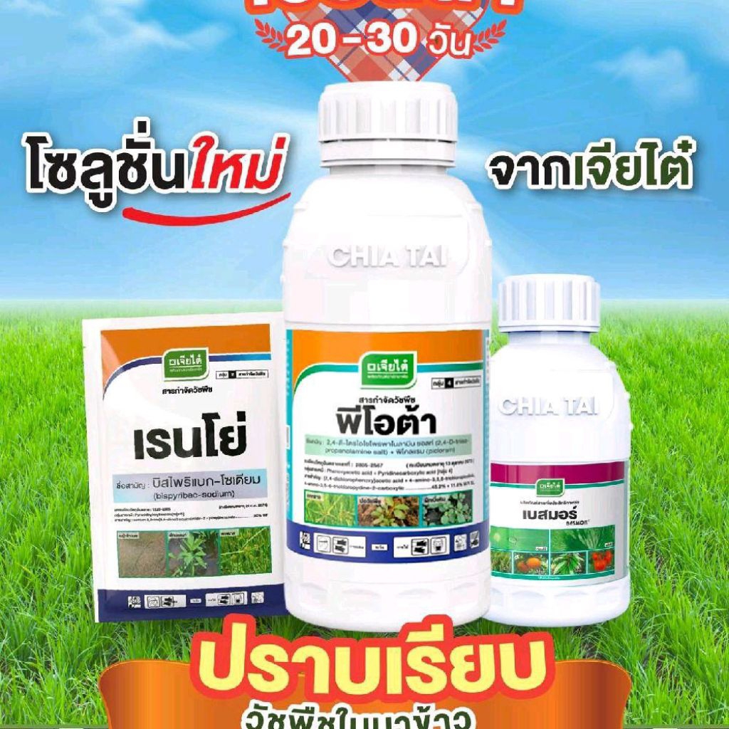 เซียนนา เซียนปราบหญ้าในนาข้าวครบจบทั้งใบแคบ ใบกว้าง กก เครือเถา ครบในชุดเดียว 1ชุดได้ 3-4ไร่