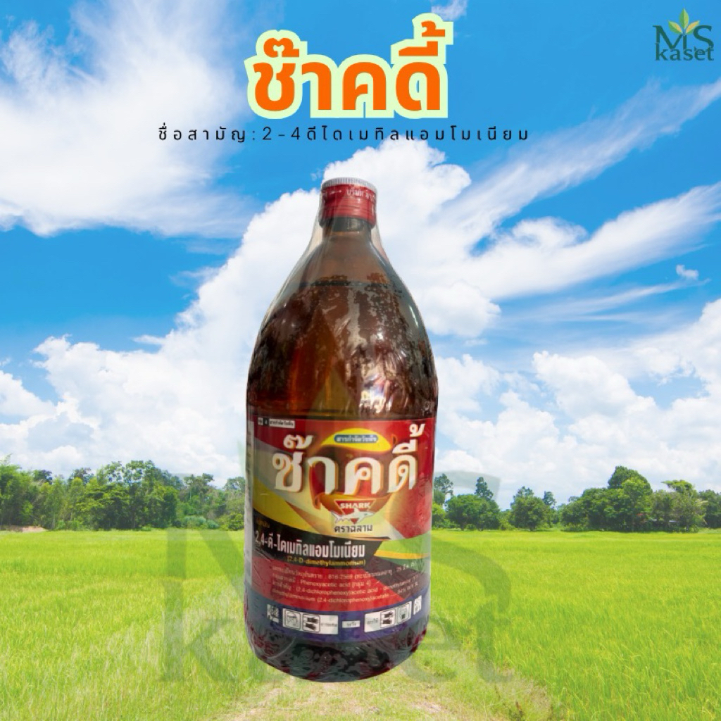ช๊าคดี้  ชื่อสามัญ:2,4-D dimethyl ammonium 84% SL สารกำจัดวัชพืชใบกว้าง ฆ่าผักบุ้ง หญ้ากระเถ้า