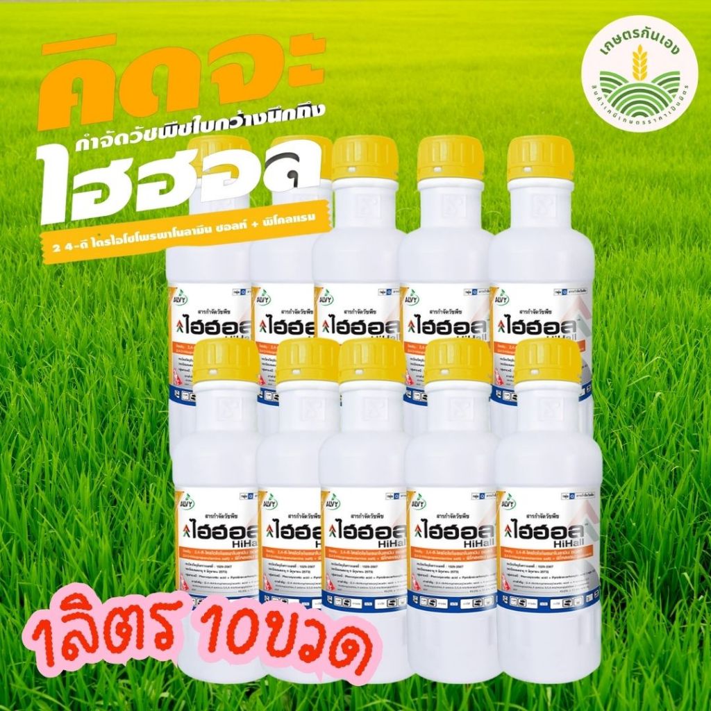 ไฮฮอล ยาเก็บหญ้าในนาข้าวอายุ30  อ้อย ขนาด 1ลิตร  10 ขวด 2,4-ดี ไตรไอโซโพรพาโนลามีน + พิคลอแรม ซีสโม่