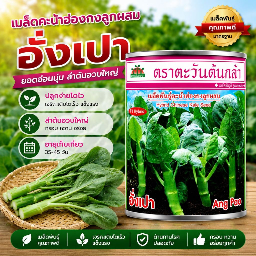 เมล็ดคะน้าฮ่องกง อั่งเปา F1 ตราตะวันต้นกล้า ขนาด30กรัม เมล็ดพันธุ์คะน้าฮ่องกง ลูกผสม เมล็ดพันธุ์ผัก
