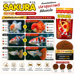 SAKURA Gold อาหารปลาทอง ปลาคาร์พ หางนกยูง เม็ดลอยน้ำ 3 สี โปรตีน 35% เสริมสี สุขภาพดี