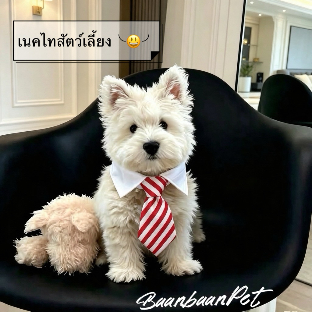 🐶🐱เนคไทสัตว์เลี้ยง ปกเสื้อปลอมสัตว์ สำหรับแมวและสุนัข สไตล์อังกฤษ แต่งตัวสัตว์ ถ่ายรูป งานแต่ง ปาร์ตี้ สัตว์สุภาพบุรุษ