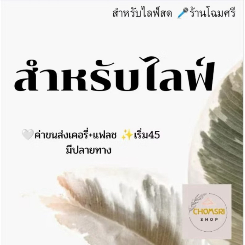 สินค้าไลฟ์สด ลดราคาพิเศษ🔥