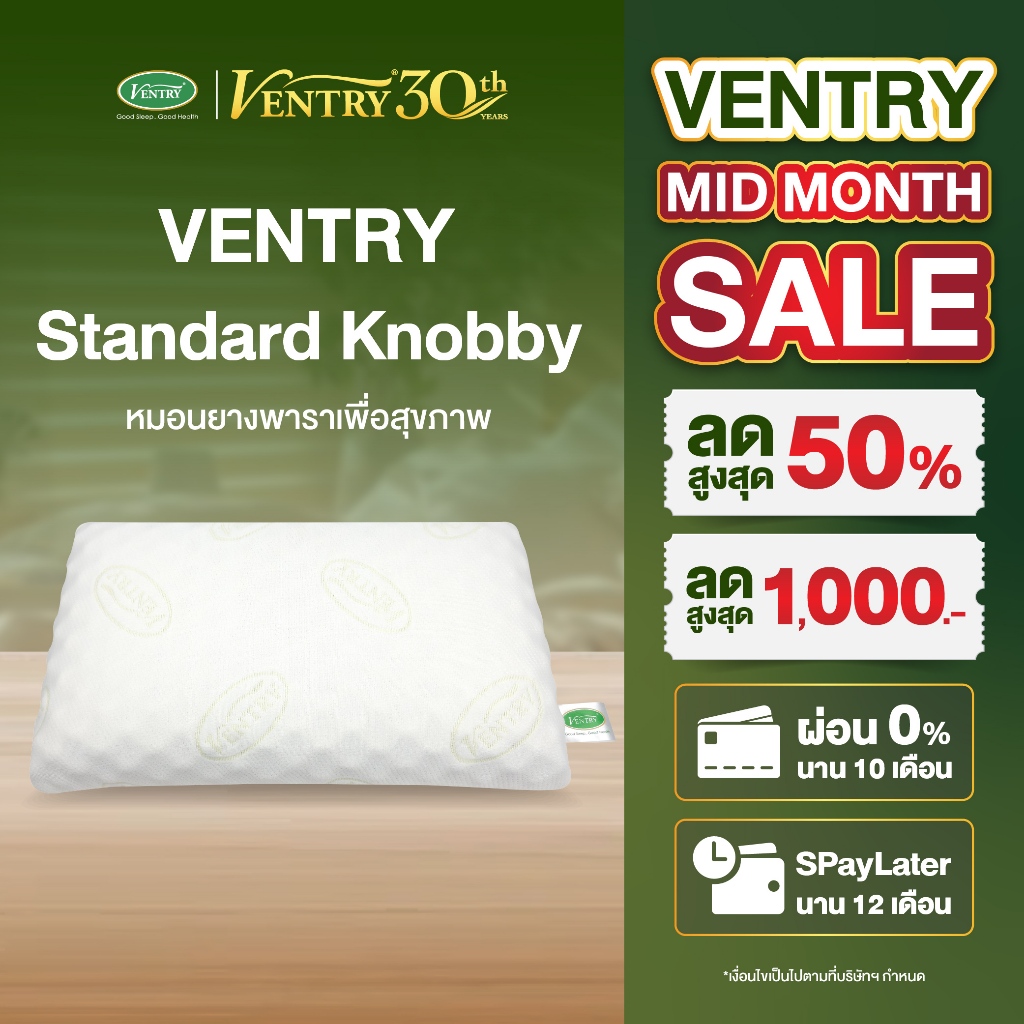 Ventry Standard Knobby หมอนทรงมาตรฐานพร้อมปุ่มนวดสัมผัส